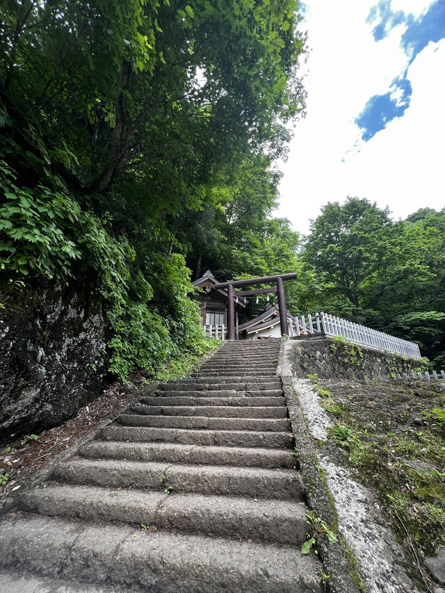 「お願いごと、最近ちゃんと心を込めてしたことありますか？」