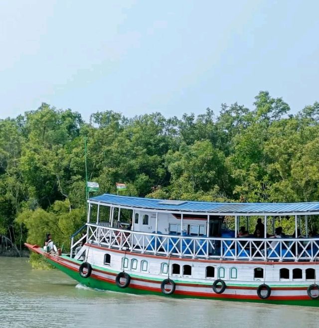 Sundarbans – Where the Forest Breathes with the Tides 🌿🐅