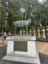 春日大社：在奈良感受神社的靈氣，探訪自然與文化的和諧交融！