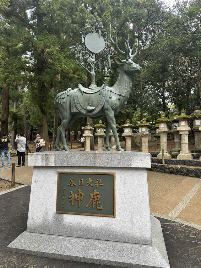 春日大社：在奈良感受神社的靈氣，探訪自然與文化的和諧交融！
