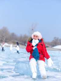 Plan harbin 