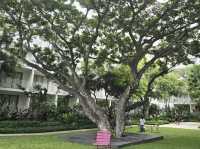 The Standard Huahin โรงแรมริมทะเลสุดชิคหัวหิน