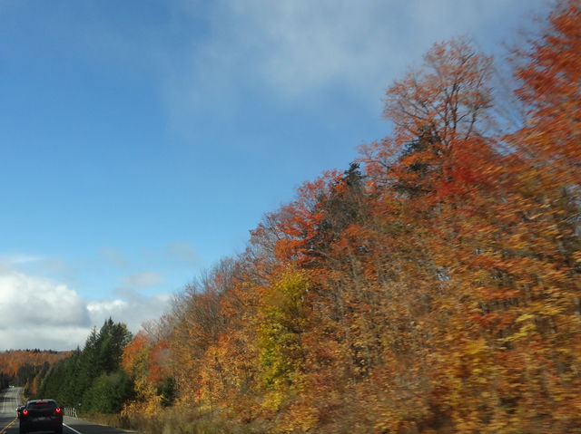 Travel with me in Ontario, Canada🇨🇦🍁