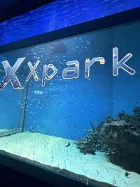 虛實交織的平行宇宙：桃園Xpark