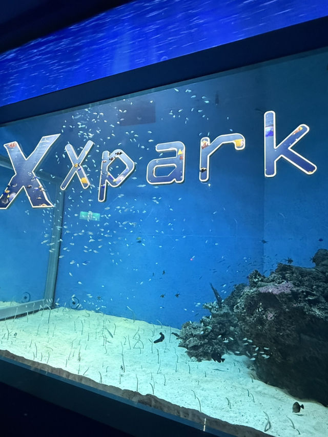 虛實交織的平行宇宙：桃園Xpark