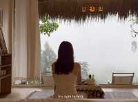 🌿 ร่องหมอก โฮมสเตย์ ดอยช้าง