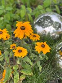 Boramae Park, Seoul – A Peaceful Urban Green Space