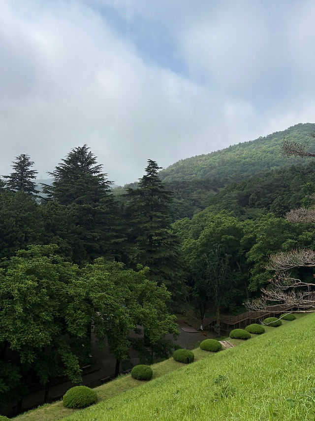 부산 근교 양산에 있는 피톤치드 가득한 산책로🍃