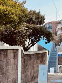 Jeju City's Vibrant Waterfront Hub