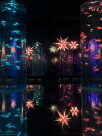 Art Aquarium Museum Ginza