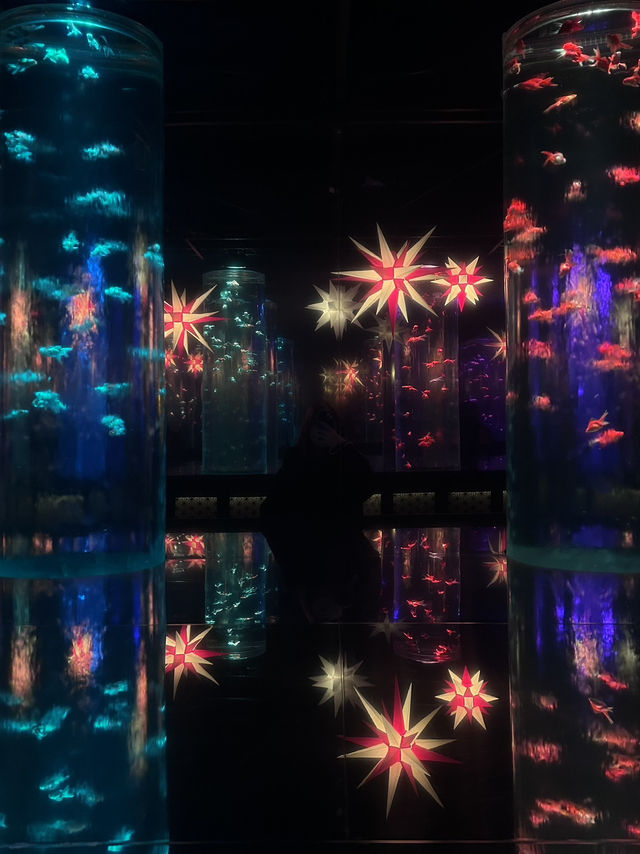 Art Aquarium Museum Ginza