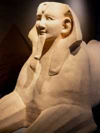 Hurry to the Egyptian exhibition in Shanghai 