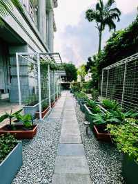 Green Escape in the City – Fullerton Farm & Outdoor Yard
