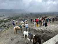 Heartbeat of the Earth - Bromo’s Crater 