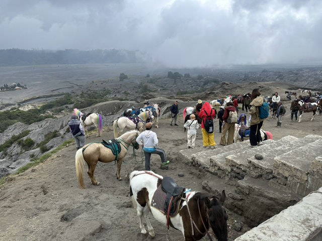 Heartbeat of the Earth - Bromo’s Crater 