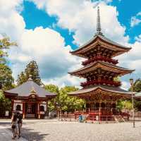 Naritasan Omotesando Review: A Charming Slice of Old Japan Near Tokyo