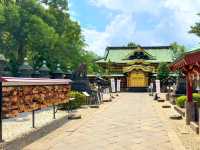 Peaceful Strolls at Ueno Park – A Calm Corner in Tokyo