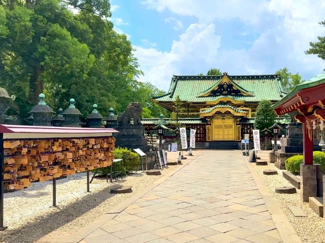 Peaceful Strolls at Ueno Park – A Calm Corner in Tokyo