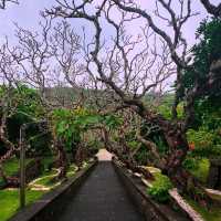 Clifftop Legends & Sunset Fire: Experiencing Uluwatu Temple