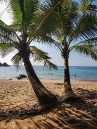 Banana Beach 