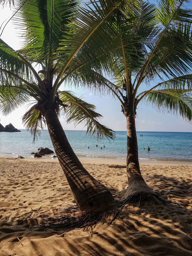 Banana Beach 