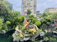 龍山寺で本格おみくじを！