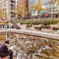 Cheonggyecheon Stream: Seoul's Urban Oasis – A Solo Stroll Through Liquid Light"** 🌊✨   