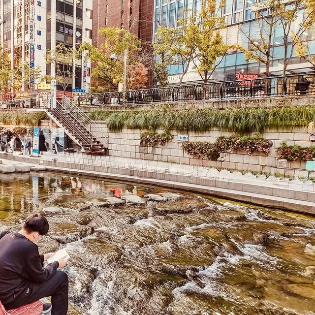 Cheonggyecheon Stream: Seoul's Urban Oasis – A Solo Stroll Through Liquid Light"** 🌊✨   