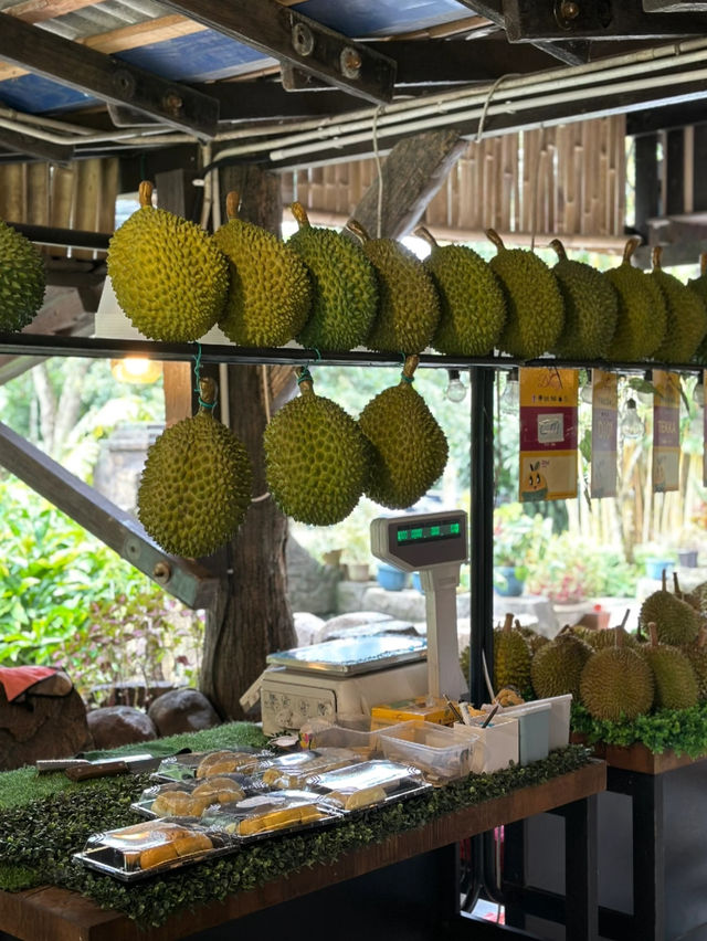 Durian Moments in the Hills: My Visit to Rimba by Dking near Genting