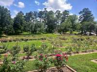 Tyler Rose Garden – Tyler