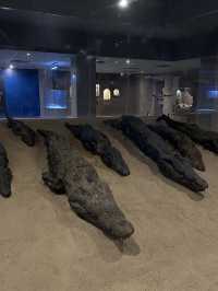 Kom Ombo Crocodile Museum: Sobek’s Retirement Home