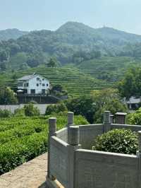 Longjing Village 🍵 