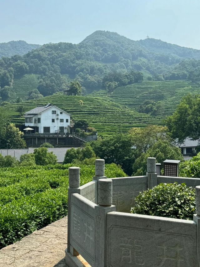 Longjing Village 🍵 