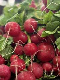 Farm-Fresh Finds at Dandenong market