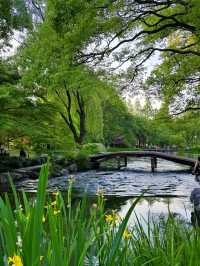 Taiziwan Park 🌺 