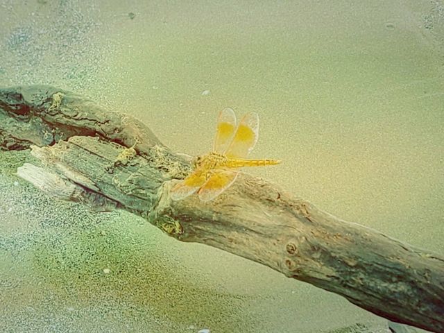 珠海木頭沖沙灘