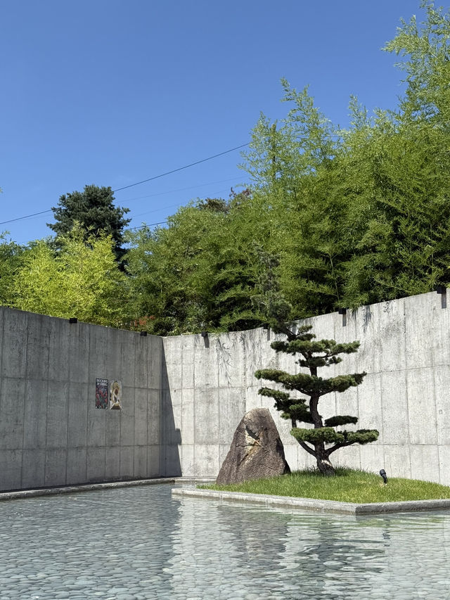 영주의 전경을 한눈에 볼 수 있는 카페, 녹스고지
