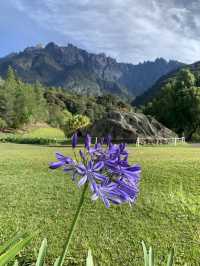 Scenic Mornings at D’Lengkuas, Mesilau