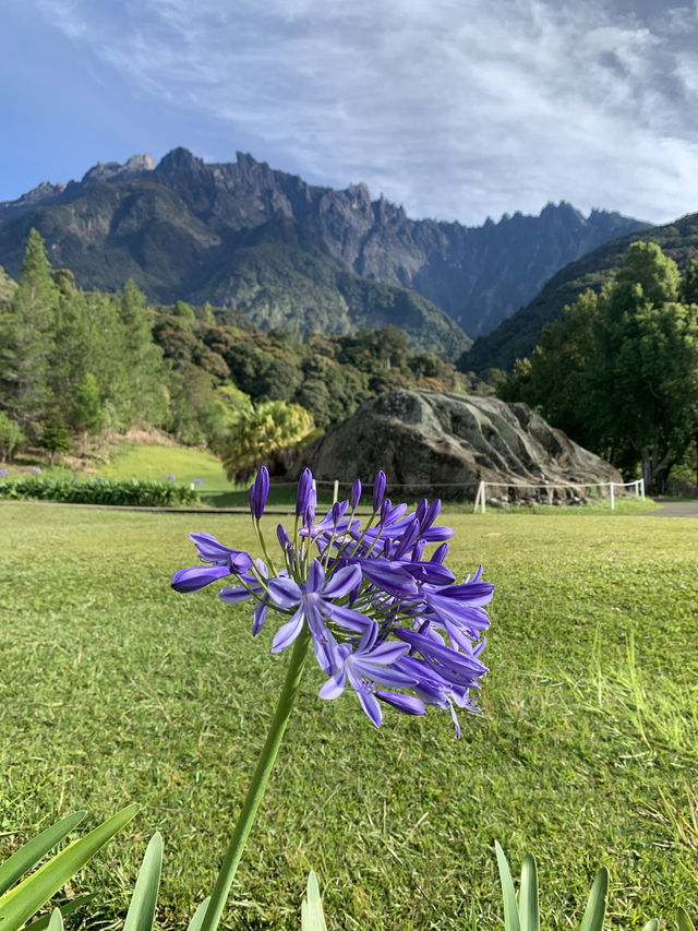 Scenic Mornings at D’Lengkuas, Mesilau