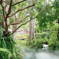 Experience Lovely ChiangMai < 200 USD for 2 for 3D/2N 