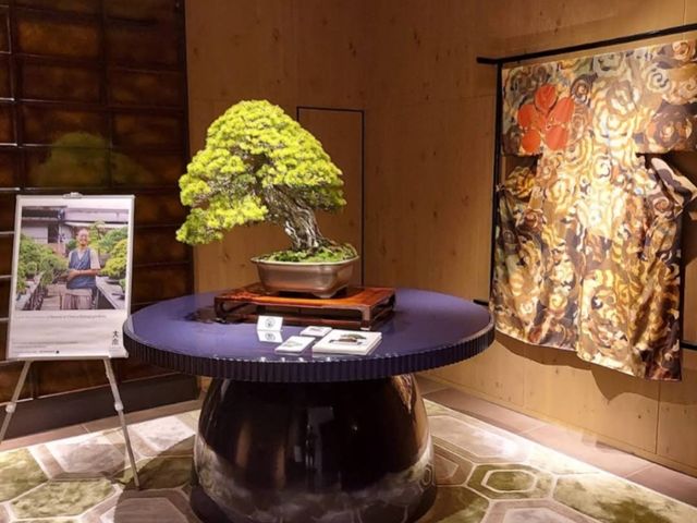 金澤 | Hyatt Centric Kanazawa 金澤駅旁的優雅酒店