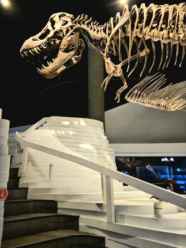 The Mind Museum – Where Science Comes Alive