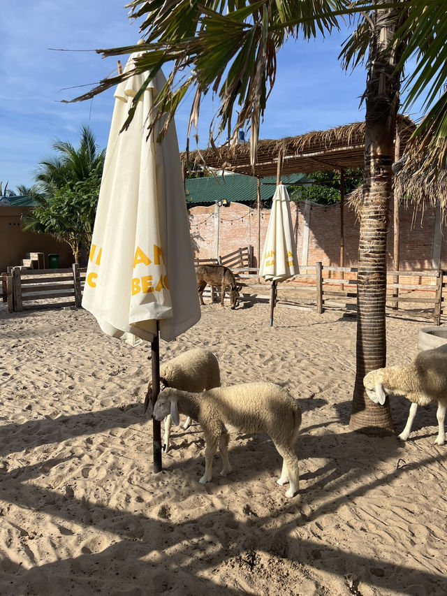 A Tropical Beach Club in Phan Thiet