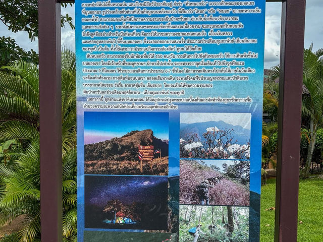 จุดชมวิว ป้อมปี่ (Pom Pi Viewpoint)