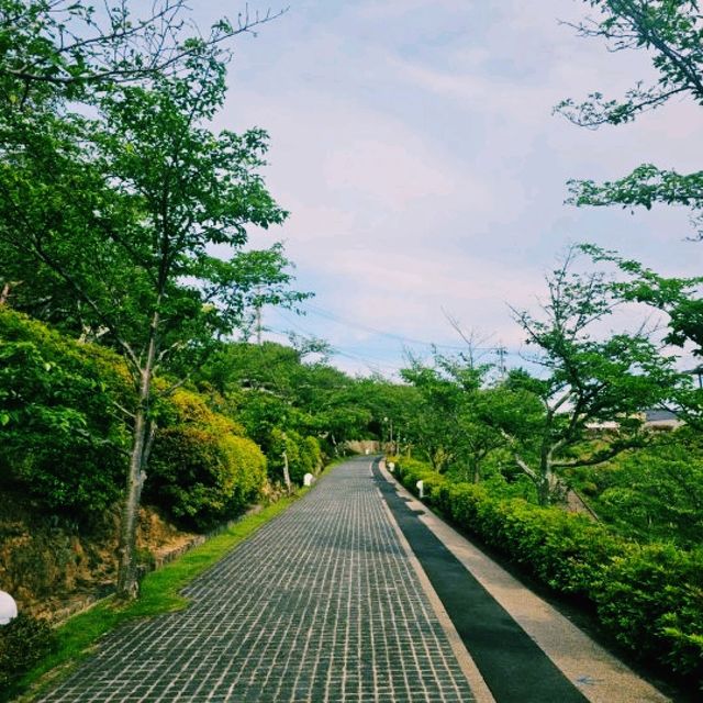 히로시마, 평화와 역사 그리고 자연을 느낀 여행기 히로시마, 평화와 역사 그리고 자연을 느낀 여행기