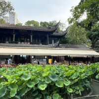 🎋 Chengdu People’s Park 成都人民公园 | A Window into Local Life