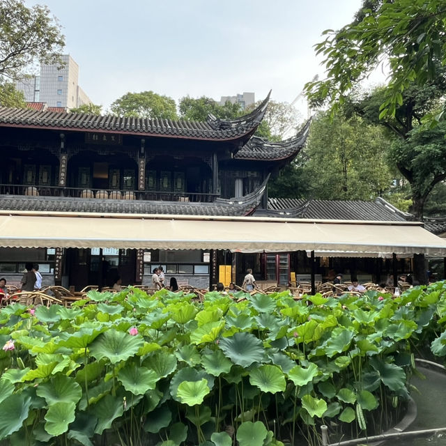 🎋 Chengdu People’s Park 成都人民公园 | A Window into Local Life