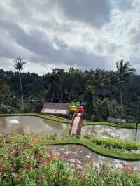 🌸 High Above Bali: My Visit to Happy Swing
