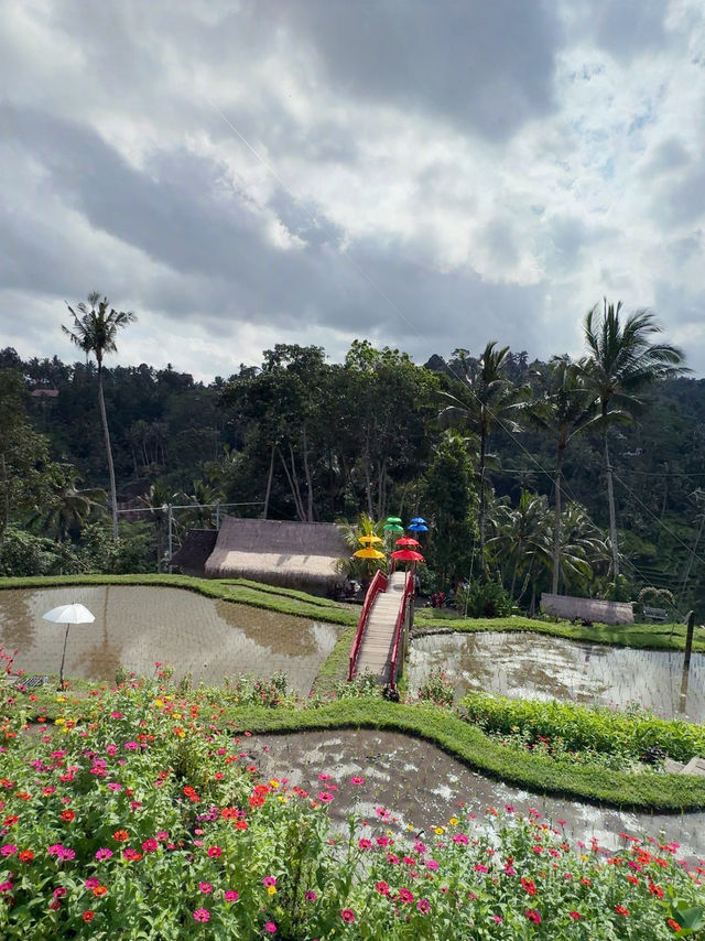 🌸 High Above Bali: My Visit to Happy Swing