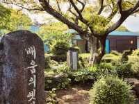 A Poignant Tribute to Jeju's Soulful Landscapes